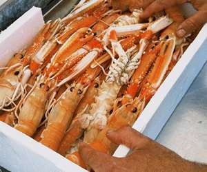 fresh seafood onboard the Sanbaia