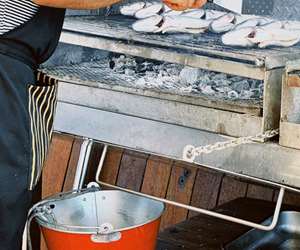 freshly caught fish on the grill 